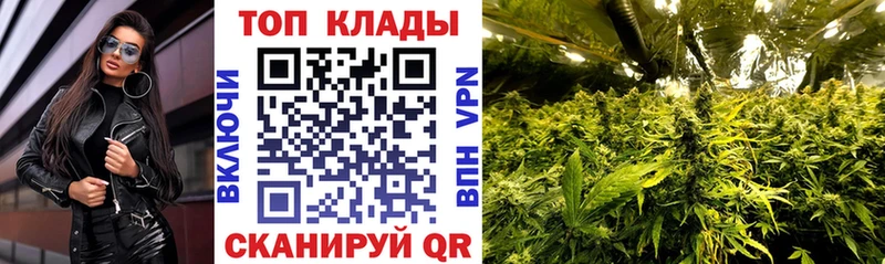 Все наркотики Александров ГАШИШ  Cocaine  А ПВП  Меф мяу мяу 