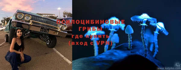 герыч Алзамай